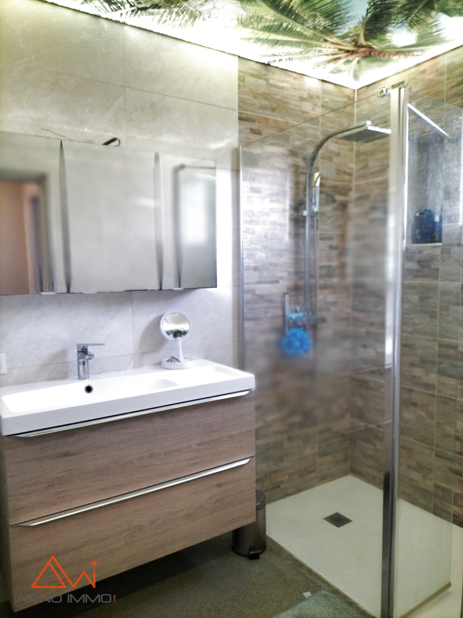 Image_10, Maison, Gaillac, ref :V100001013