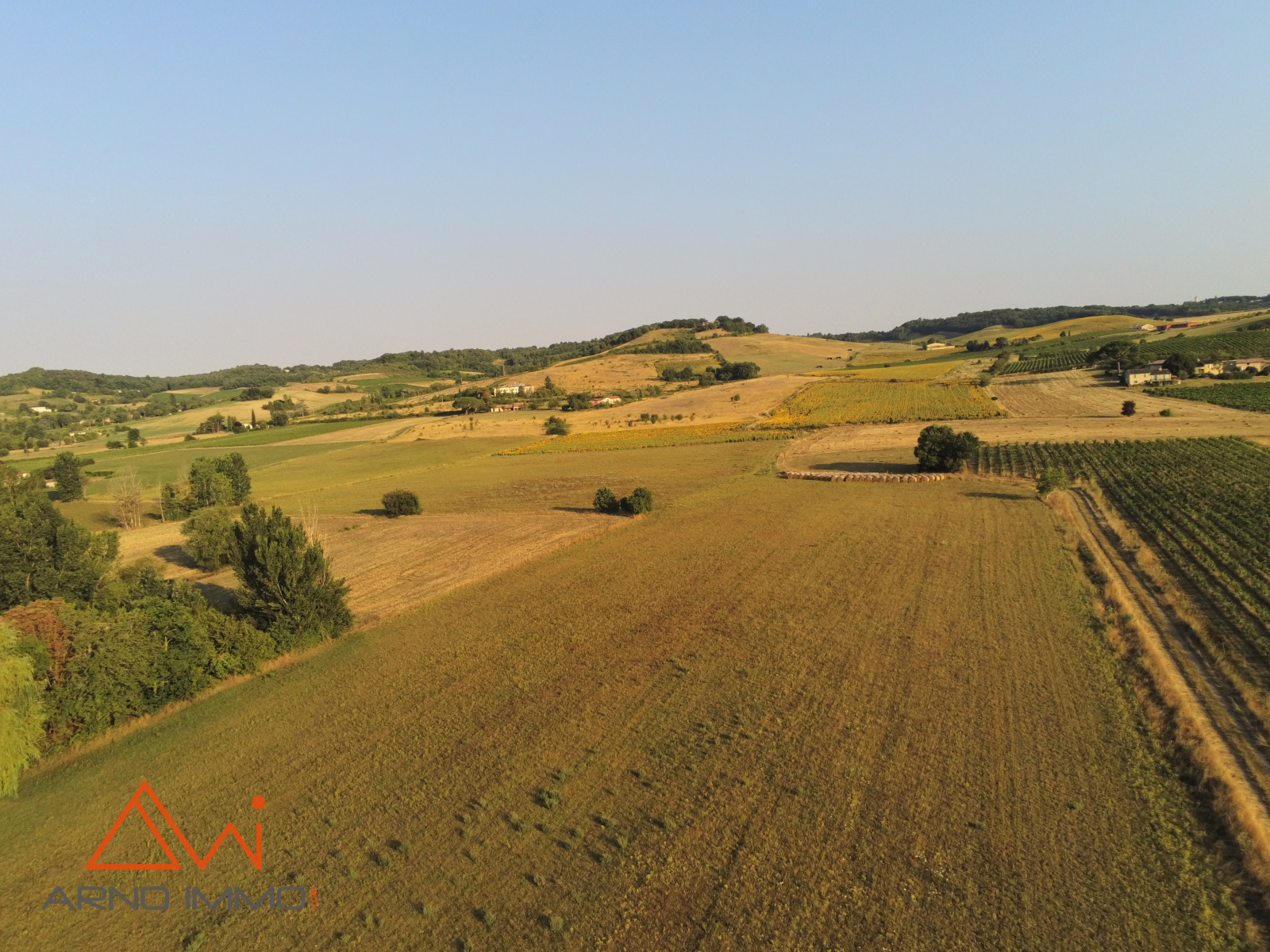 Image_4, Terrain agricole, Gaillac, ref :V90000625